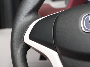 2021 ʿ F (31.86kWh) п؅^(q)