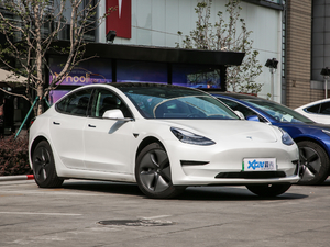 2019款标准续航后轮驱动升级版 整体外观