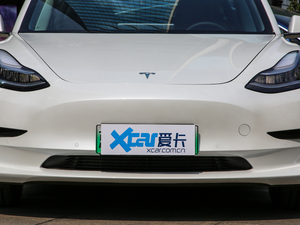 2019款标准续航后轮驱动升级版 中网