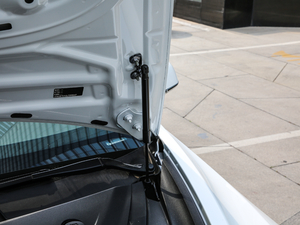 2019(bio)(zhn)m(x)݆(q)(dng) g