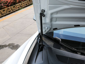 2019(bio)(zhn)m(x)݆(q)(dng) g