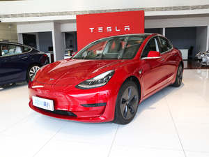2020款长续航后轮驱动版  左前45度