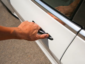 2020Ŀ L(zhng)m(x)݆(q)(dng) (x)(ji)^