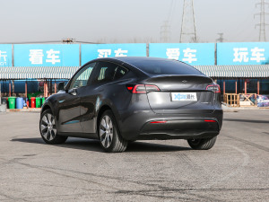 2021款Model Y 长续航全轮驱动版