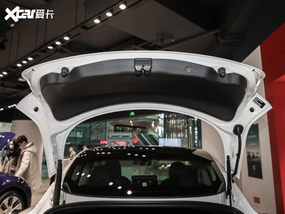 2021Model 3 (bio)(zhn)m(x)݆(q)