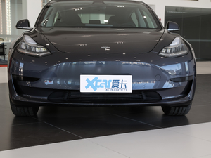 2020款改款 标准续航后轮驱动升级版 中网