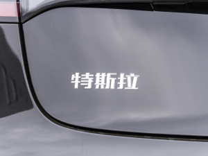 2021款Performance高性能全轮驱动版 细节外观