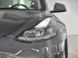 2021Ŀ Performanceȫ݆(q)Ӱ (ji)^