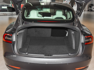 2021Ŀ Performanceȫ݆Ӱ g