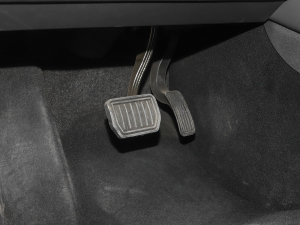 2021Ŀ (bio)(zhn)m(x)(q) п؅^(q)