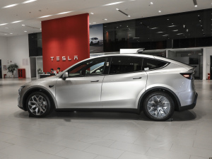 Model Y L