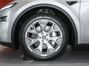 2025���L�m��ȫ݆�Ӱ� �������^