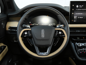 2020款2.0T 四驱尊耀版 方向盘