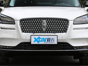 2020款2.0T 四驱尊雅版 中网