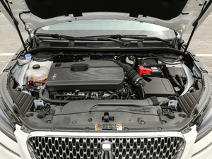 2020款2.0T 四驱尊雅版 发动机