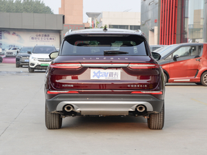 2020款2.0T 两驱尊享版 正后	