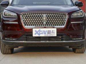 2020款2.0T 两驱尊享版 中网