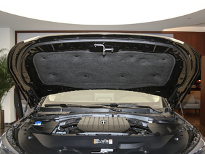 2020款3.0T 四驱尊享版 6座 其它