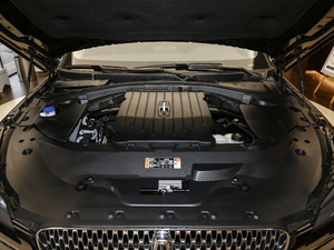 2020款3.0T 四驱尊享版 6座 发动机