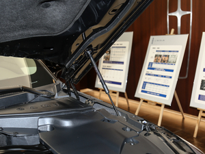 2020款3.0T 四驱尊享版 6座 其它