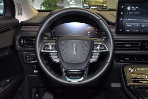 2021款2.0T 四驱尊享版 方向盘