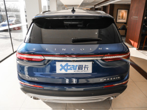 2021款2.0T 两驱尊雅版 正后	