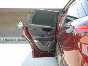 2021款PHEV 四驱e雅版 左后车门