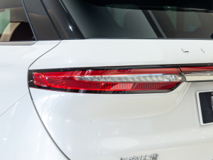 2022款2.0T 两驱尊悦版 尾灯