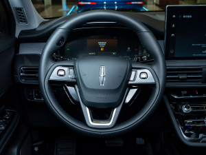 2022款2.0T 两驱尊悦版 方向盘