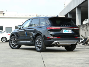 2022款改款 2.0T 两驱尊享版 左后45度