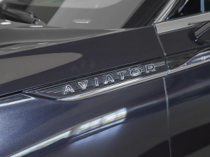 20213.0T V6 (q)MONO (x)(ji)^