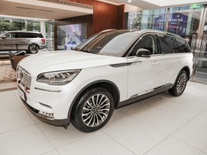 20213.0T V6 (q)Ű w^