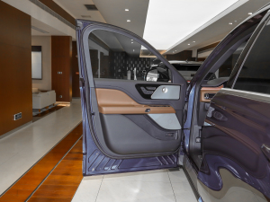 20213.0T V6 (q) {λ܇T