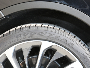 20223.0T V6 (q) ݆̥Ʒ