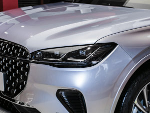 2023款2.0T 四驱尊雅版 大灯