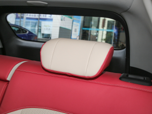 2022ǰ 510km 135kW g