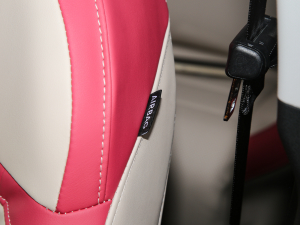 2022ǰ 510km 135kW п؅^(q)