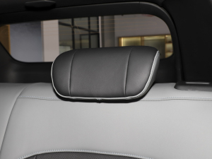 2022 510km 135kW g