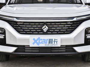 2020款1.5T 手动智耀豪华型 中网