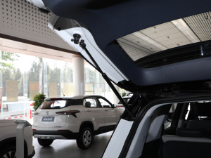 20191.5T CVT 24СrھA 5 g