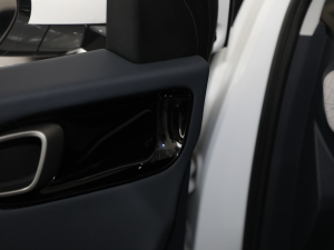 20191.5T CVT 24СrھA 5 g