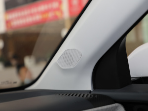 20191.5T CVT 24СrھA 5 g