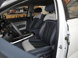 2019款1.5T CVT 24小时在线豪华型 5座 主驾驶座椅