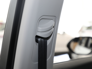 20191.5T CVT 24СrھA 5 g