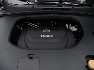 2020款1.5T CVT智能精英型 其它
