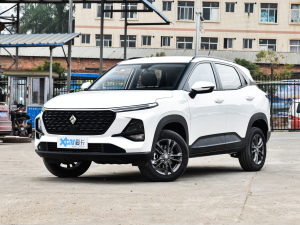 20201.5L ք24СrھӢ ǰ45