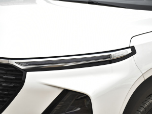 20201.5L ք24СrھӢ ^