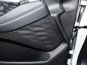 20201.5L ք24СrھӢ g