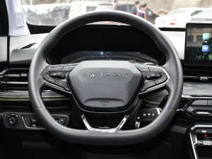 20201.5L ք(dng)24Сr(sh)ھӢ P