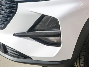 2020款1.5L 手动智能豪华型 细节外观